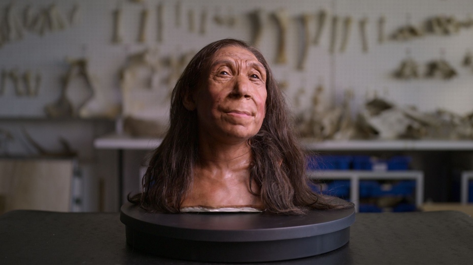 Neanderthal woman facial reconstruction