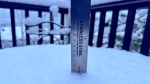 Here is a look at the second wave of snow in Canmore showing nine centimetres on the ruler in this picture (courtesy of Stan Williams).