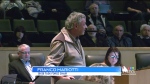 Franco Mariotti, Sudbury's 30x30 task force chair, speaks at city council meeting about identifying land to protect. April 30, 2024 (Ian Campbell/CTV Northern Ontario)