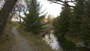 Junction Creek in Greater Sudbury. May 1, 2024 (Lyndsay Aelick/CTV Northern Ontario)