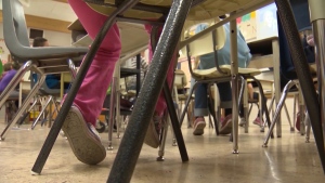 Alberta school boards have until May 15 to decide if they will test the government's new social studies curriculum and the province's education minister says there has been interest in trying it out.