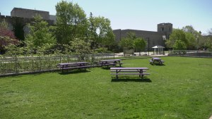 All was quiet May 2, 2024, at the site of a pro-Palestinian protest at Western University one day earlier. (Bryan Bicknell/CTV News London) 