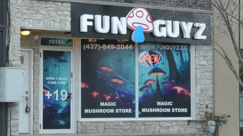 FunGuyz Magic Mushrooms store in the area of Yonge Street and Centre Street in Richmond Hill, Ont. (Source: YRP)