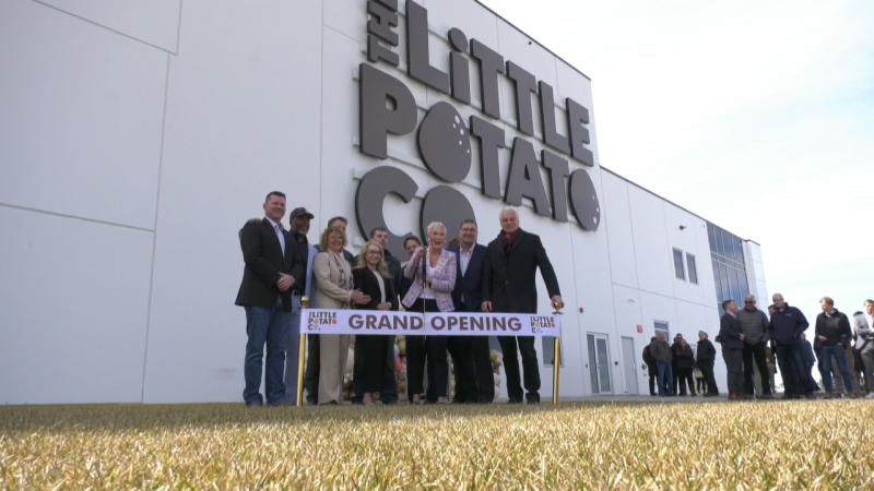 A ribbon cutting was held at the new Little Potato Company facility in Nisku on May 2, 2024. (Marek Tkach/CTV News Edmonton)