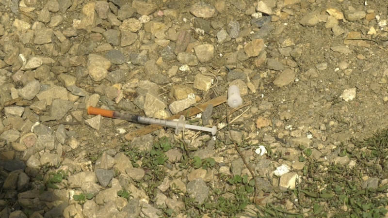 Needles discovered by Brittany Cook near harm reduction centres in Regina. (Hallee Mandryk/CTV News)