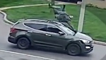 Auto theft, cop struck