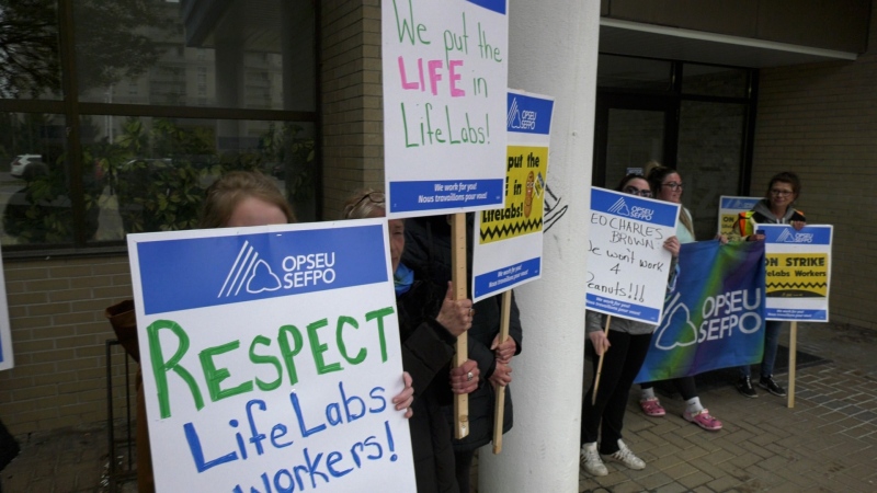 Workers on strike at the LifeLabs location at 121 Wellington Street in Barrie on May 3, 2024. 