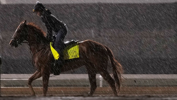 Kentucky Derby entrant Society Man works out in the rain at Churchill Downs, Friday, May 3, 2024, in Louisville, Ky. (AP Photo/Charlie Riedel)