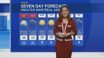 Lauren Fernandez presents the weather on May 3, 2024.