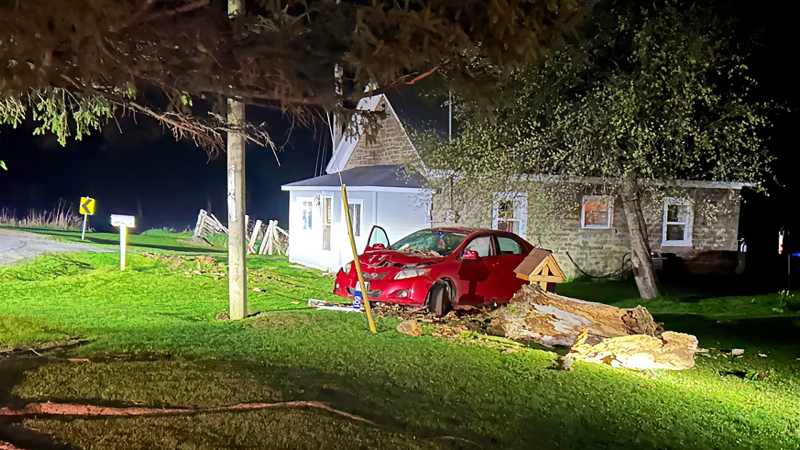 The Ontario Provincial Police (OPP) says an eastern Ontario driver is facing charges following a single-vehicle collision Friday night in Leeds and Grenville Township. (OPP/X)