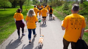The 16th annual Steps for Life fundraiser by charity Threads of Life for the London, Ont. region was held at at Springbank Park on May 4, 2024. (Source: Steps for Life, London Region)