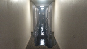 The sixth floor hallway of an Overbrook highrise after a fire broke out in a bedroom on Friday evening. (Natalie van Rooy/CTV News Ottawa)