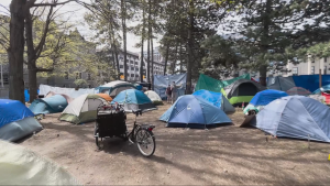 At least 60 tents are set up at uOttawa as demonstrations continue on campus for the sixth day. (Jackie Perez/CTV News Ottawa)