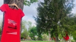 REDress day in Victoria Park on May 5, 2024. (Reta Ismail/CTV News London)