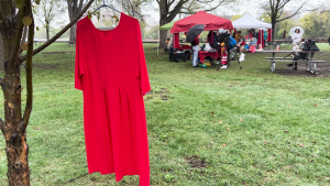 A red dress hangs in Strathcona Park, as residents gather for a day of mourning and awareness. May 5, 2024 (Sam Houpt/CTV Ottawa)