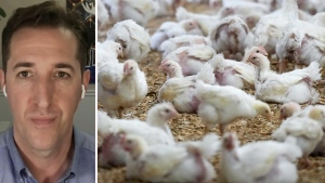 Dr. Isaac Bogoch is warning about the pandemic potential of H5N1 or avian flu and is urging Canada to scale up surveillance.
