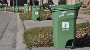 Green bins as seen on the curb in London, Ont. (Source: City of London)