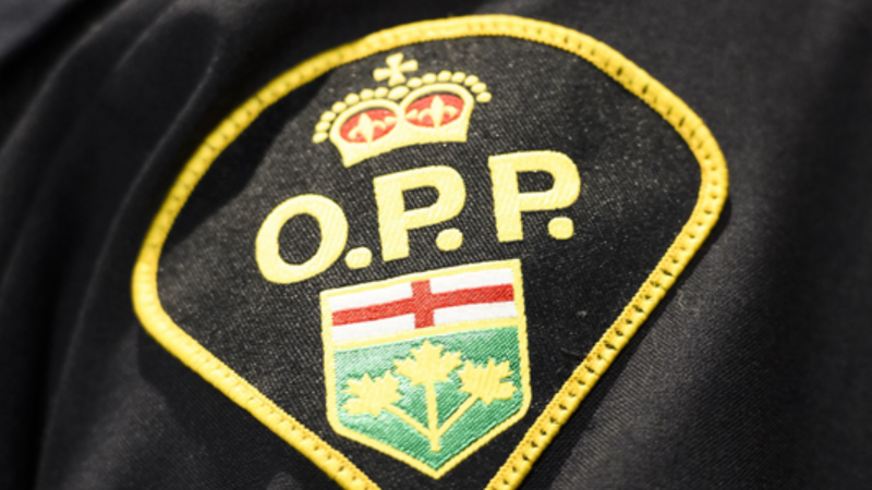 OPP badge in this file image.