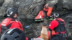 Rescuers located the man and his dog on Henry Island, Wash., and transported them to Port Angeles, Wash., in stable condition, the U.S. Coast Guard said. (U.S. Coast Guard)