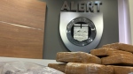 ALERT seized 27 kilograms of cocaine in Edmonton on April 30, 2024. (Marek Tkach/CTV News Edmonton)
