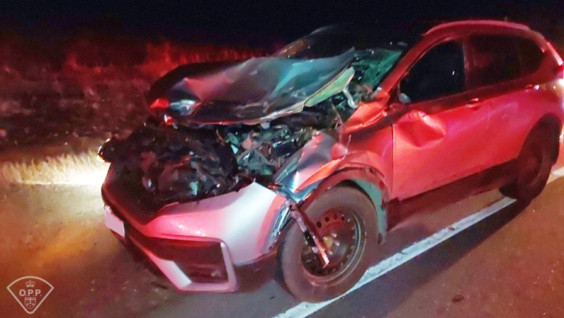 Two people received minor injuries Sunday evening when a vehicle and a moose collided on Highway 11. (OPP photo)