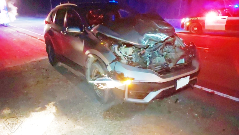 Two people received minor injuries Sunday evening when a vehicle and a moose collided on Highway 11. (OPP photo)