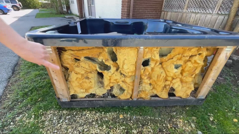 Kylia White's $5,000 hot tub is now filled with holes where rats tunneled through it. (Dave Charbonneau/CTV News Ottawa)