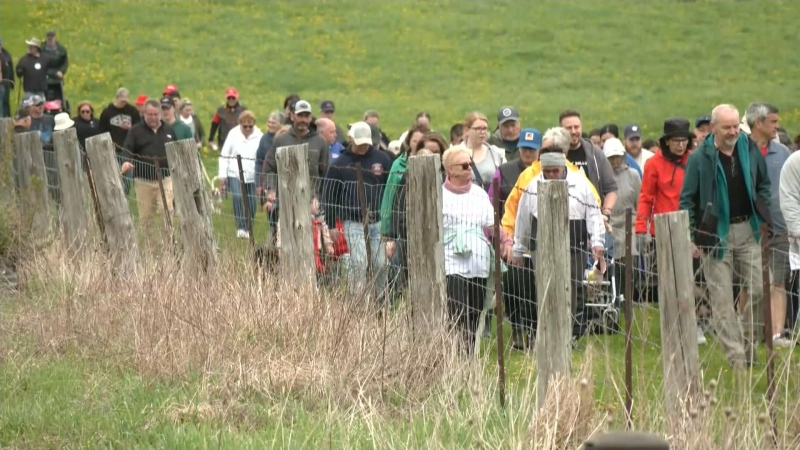 Hundreds participate in hike for hospice