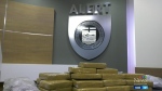 Police conduct major cocaine bust in west Edmonton