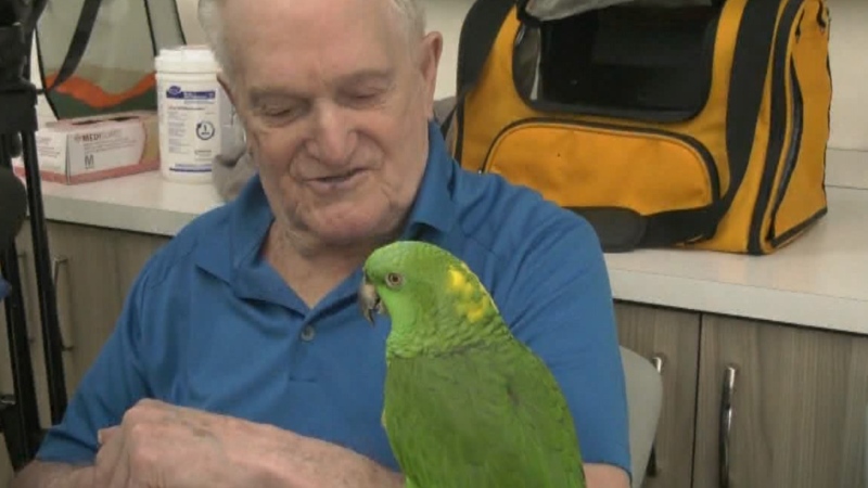 Parrot visit a rare treat with lasting impact