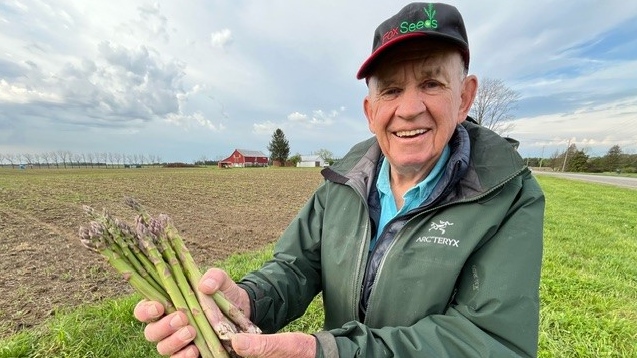 Kerr Farms owner Bob Kerr holding organic asparagus on Fairview Line in Chatham-Kent, Ont. (Chris Campbell/CTV News Windsor)
