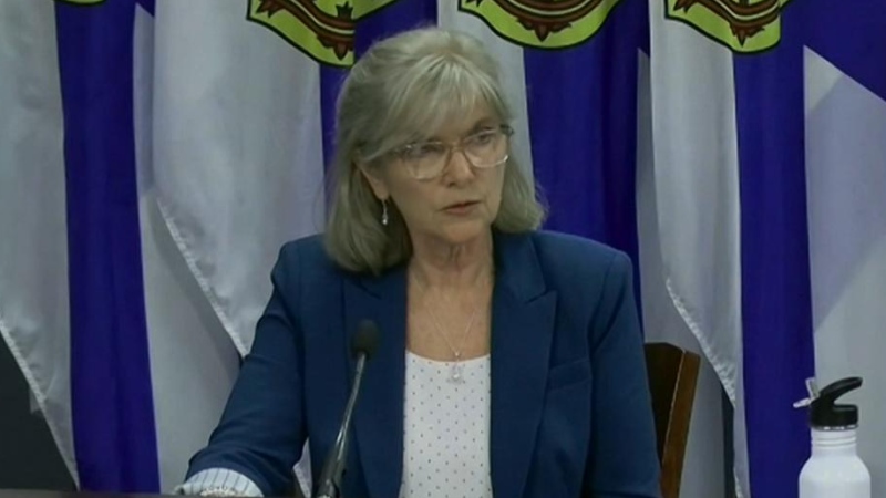 N.S.'s auditor general released a report Tuesday that says vulnerable children in the province are at risk of inadequate care.