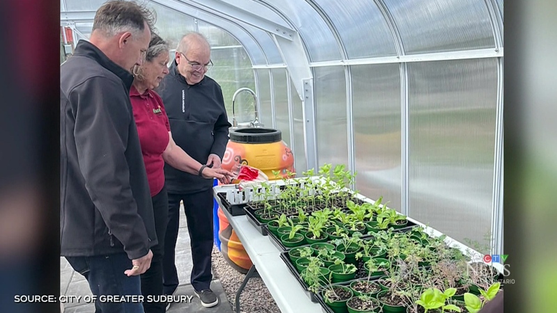 Twin Forks Community Garden greenhouse will grow produce that will be shared with local organizations. May 8, 2024 (City of Greater Sudbury)