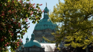 The B.C. legislature is framed within trees at Victoria, B.C., on Wednesday, May 8, 2024. THE CANADIAN PRESS/Chad Hipolito