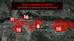 Residents raise concerns about rats