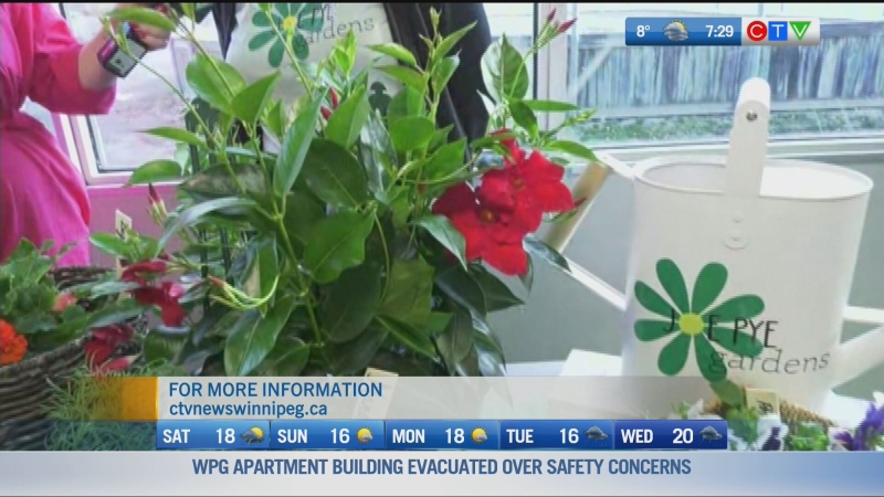 CTV’s Ainsley McPhail checks out a display from Bi