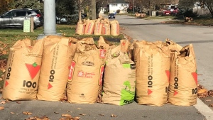 Bags of yard waste line driveways in a Barrie, Ont. (CTV News Barrie) 