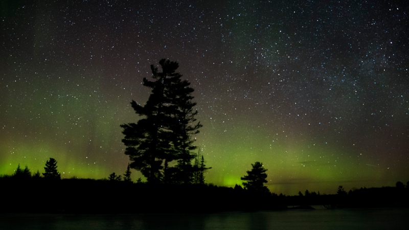 The northern lights make a rare appearance over central Ontario in Kawartha Lakes, Ont., on March 21, 2021. (Fred Thornhill / The Canadian Press) 