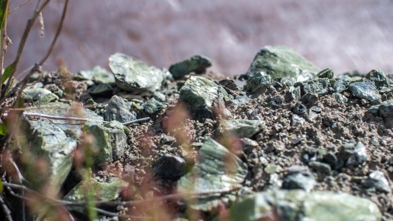 British Columbia has prohibited mining activities on new jade tenures in the northwest, while setting a five-year transition period for existing operators. Pieces of nephrite jade are shown at a mine site in northwestern B.C. in July 2019. (Tahltan Central Government)