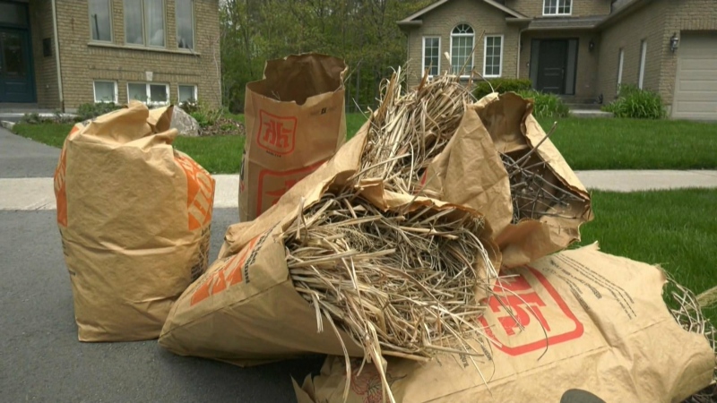 Yard waste collection causes confusion