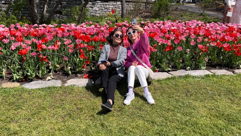 The Canadian Tulip Festival kicked off May 10, 2024, despite reduced funding from all levels of government. The festival welcomes more than 400,000 visitors last year. (Leah Larocque/CTV News Ottawa)