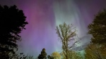 A view of the northern lights from Hawkesbury, Ontario.