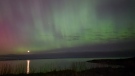 The northern lights are seen in New Victoria, N.S. (Courtesy: Tanya Sheppard)