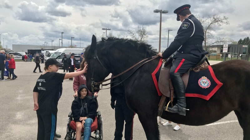 Children pet a police horse at Police Week event in Innisfil, Ont on Saturday, May 11, 2024 (CTV News/ David Sullivan). 