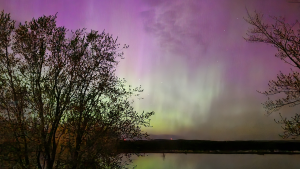 Aurora borealis lights up the sky in Wendover, Ont. (Michele Labelle/CTV Viewer)