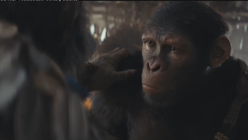 A shot from the new film "Kingdom of the Planet of the Apes". (Source: Youtube/20th Century Studios)
