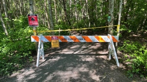 Trailheads to the Squamish Estuary have been blocked off after a bear attack on Friday, May 10. (Image credit: District of Squamish/Facebook) 