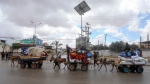 CTV National News: Evacuations in Rafah