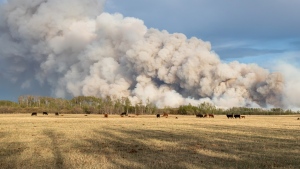 An out-of-control wildfire can be seen near the Hamlet of Teepee Creek in the County of Grande Prairie on May 11, 2024. (Photo: Josh Bourget)