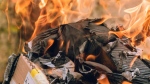 A stock image of a cardboard box on fire. (Pexels/Luan Rodrigues)